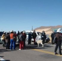 Atropellaron a un niño de 8 años en un corte de ruta en Jujuy