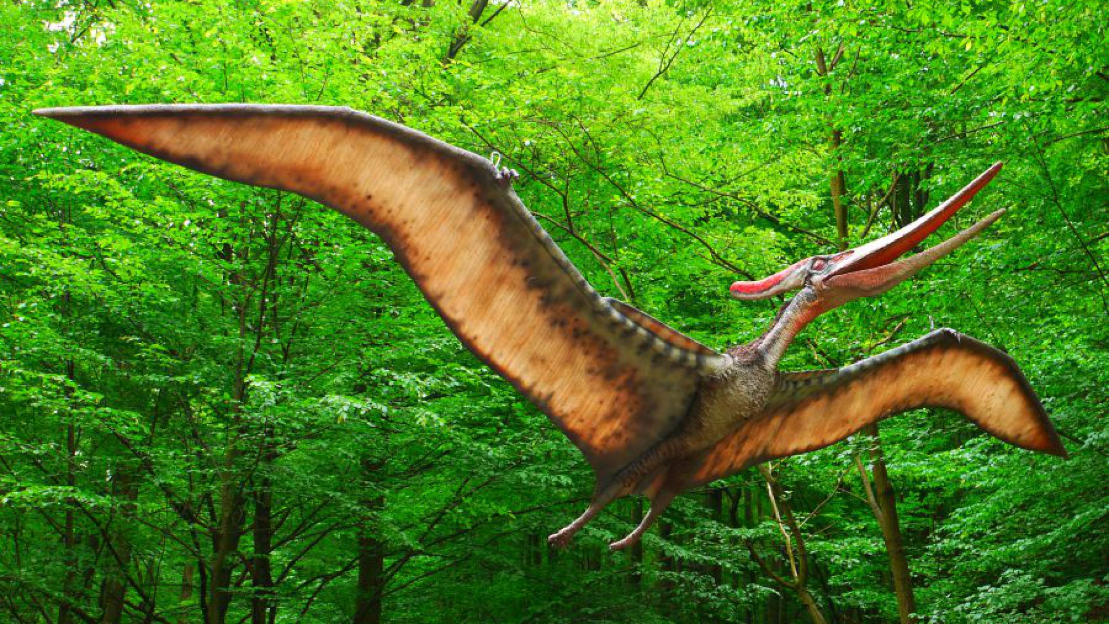 Subastarán dos esqueletos de dinosaurios en Nueva York