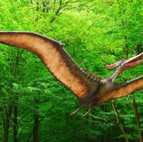 Subastarán dos esqueletos de dinosaurios en Nueva York