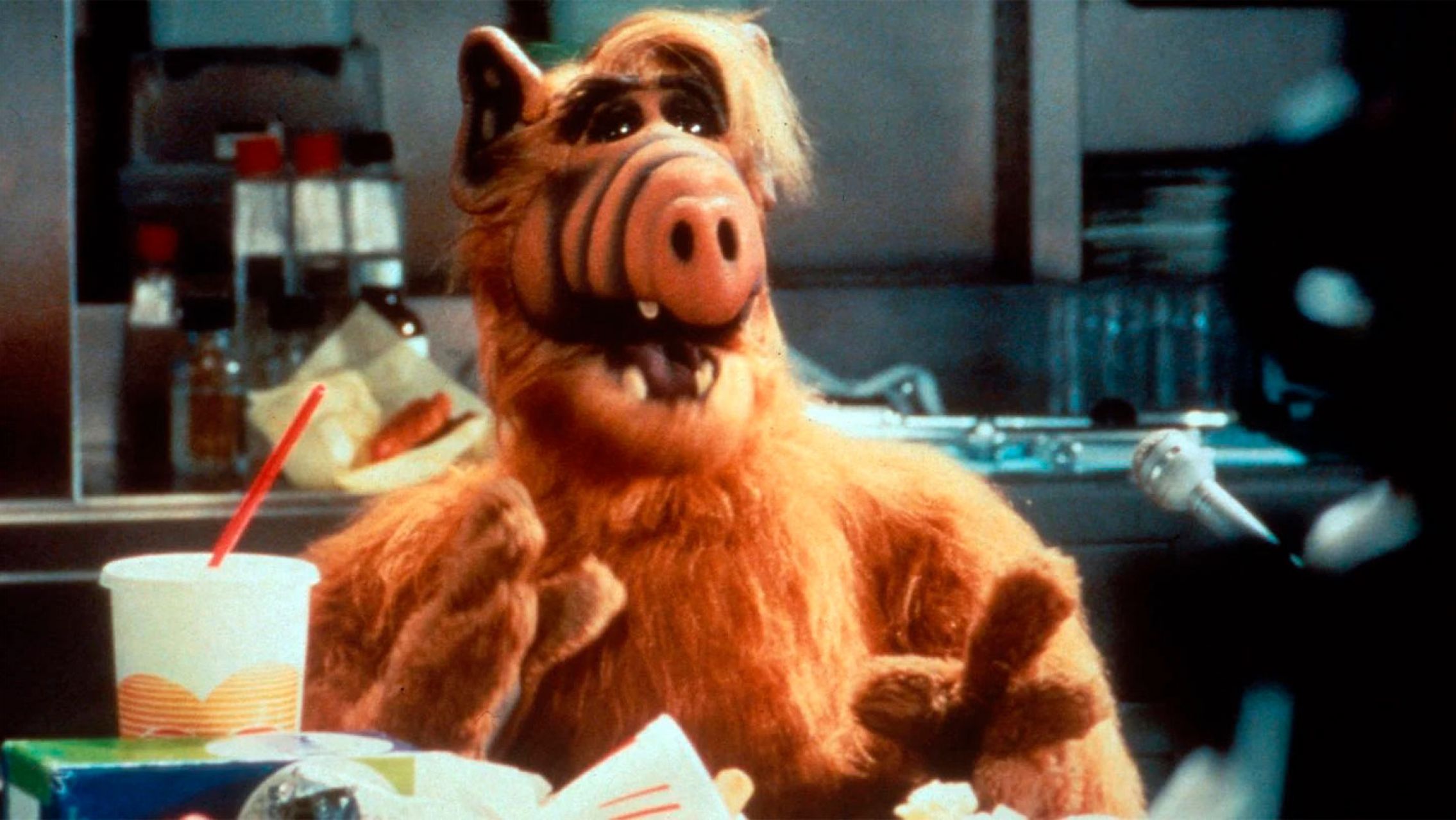 Insólito: Alf denunció que lo plagiaron en la TV argentina