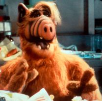 Ins&oacute;lito: Alf denunci&oacute; que lo plagiaron en la TV argentina