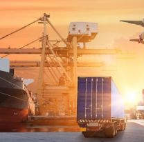 El déficit comercial fue récord en junio y complica aún más el panorama de las reservas