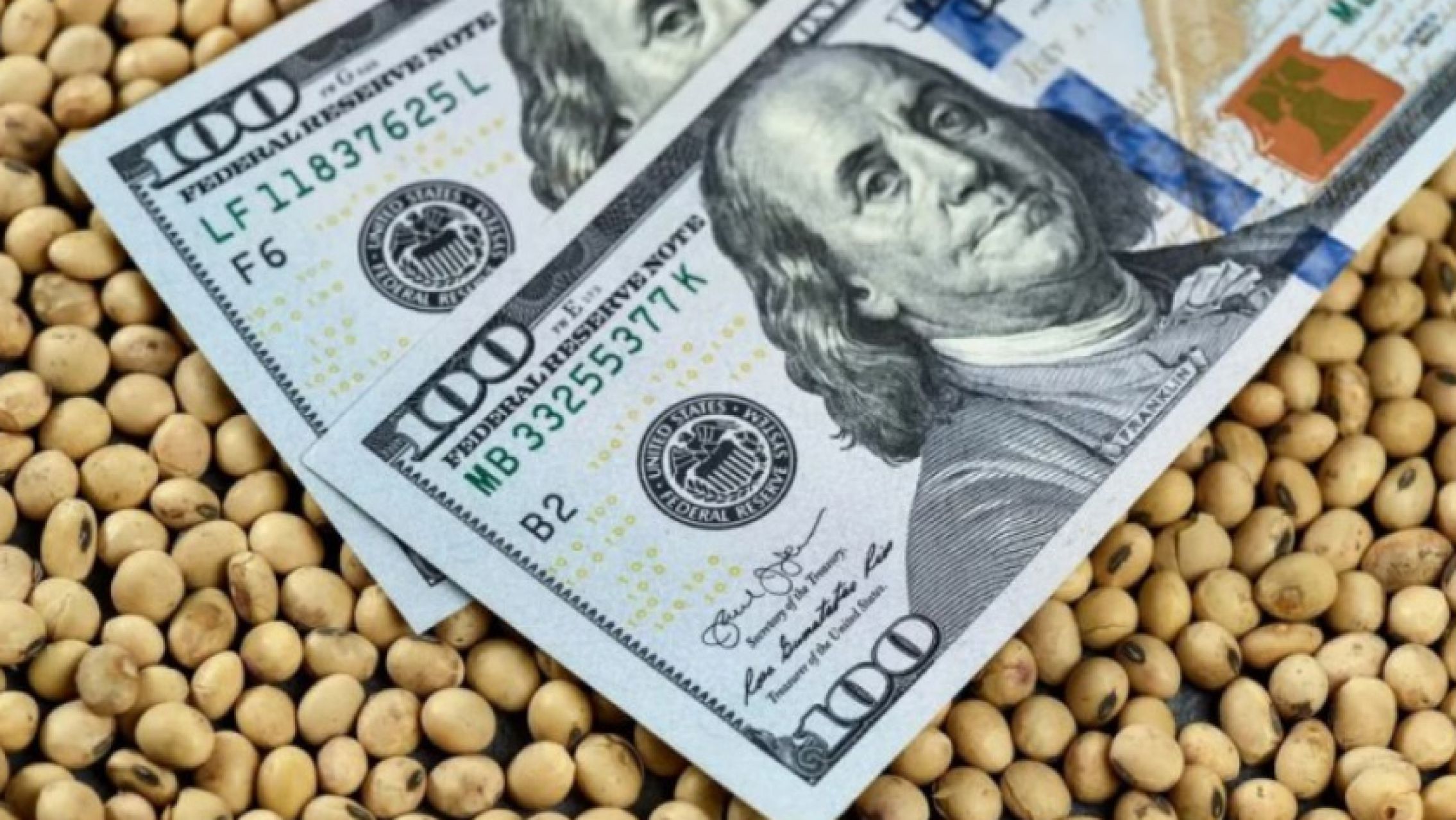 En sólo 15 días hábiles, por el nuevo dólar agro ya se liquidaron más de US$ 2.000 millones