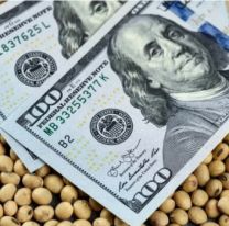 Las lluvias de noviembre sientan las bases de una campaña de soja que puede ser "superadora"