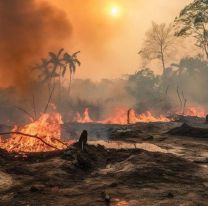 Aumentan a 1.100 los desaparecidos por los incendios en Hawai