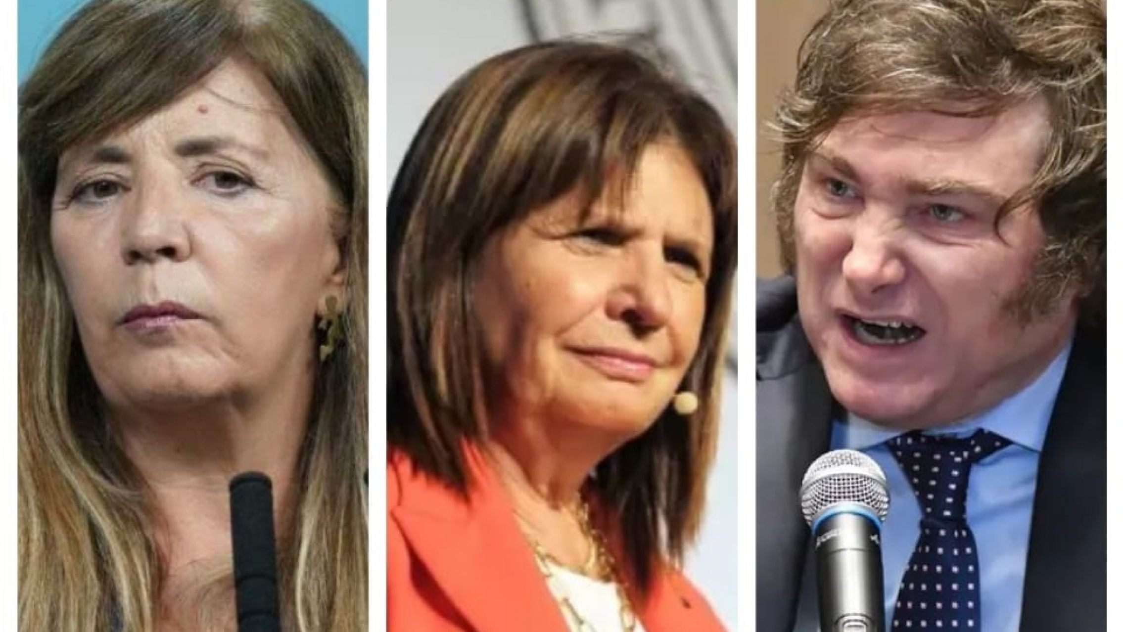 Cerruti acusó a Milei y Bullrich como instigadores de saqueos