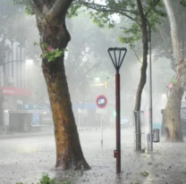 Alerta naranja por tormentas en Litoral y alerta amarilla por vientos en 8 provincias
