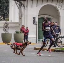 Escándalo: ganaba la maratón de Bs.As., pero lo atacó un perro y fue tercero