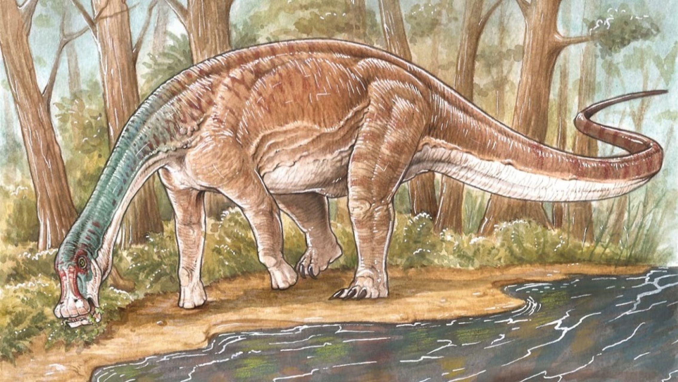 Descubren una nueva especie de dinosaurio que vivió hace 86 millones de años en Neuquén