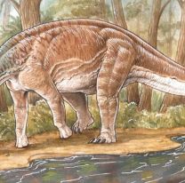 Descubren una nueva especie de dinosaurio que vivió hace 86 millones de años en Neuquén