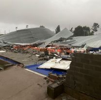 Videos: al menos 13 muertos, 14 heridos graves por fuerte temporal en Bahía Blanca