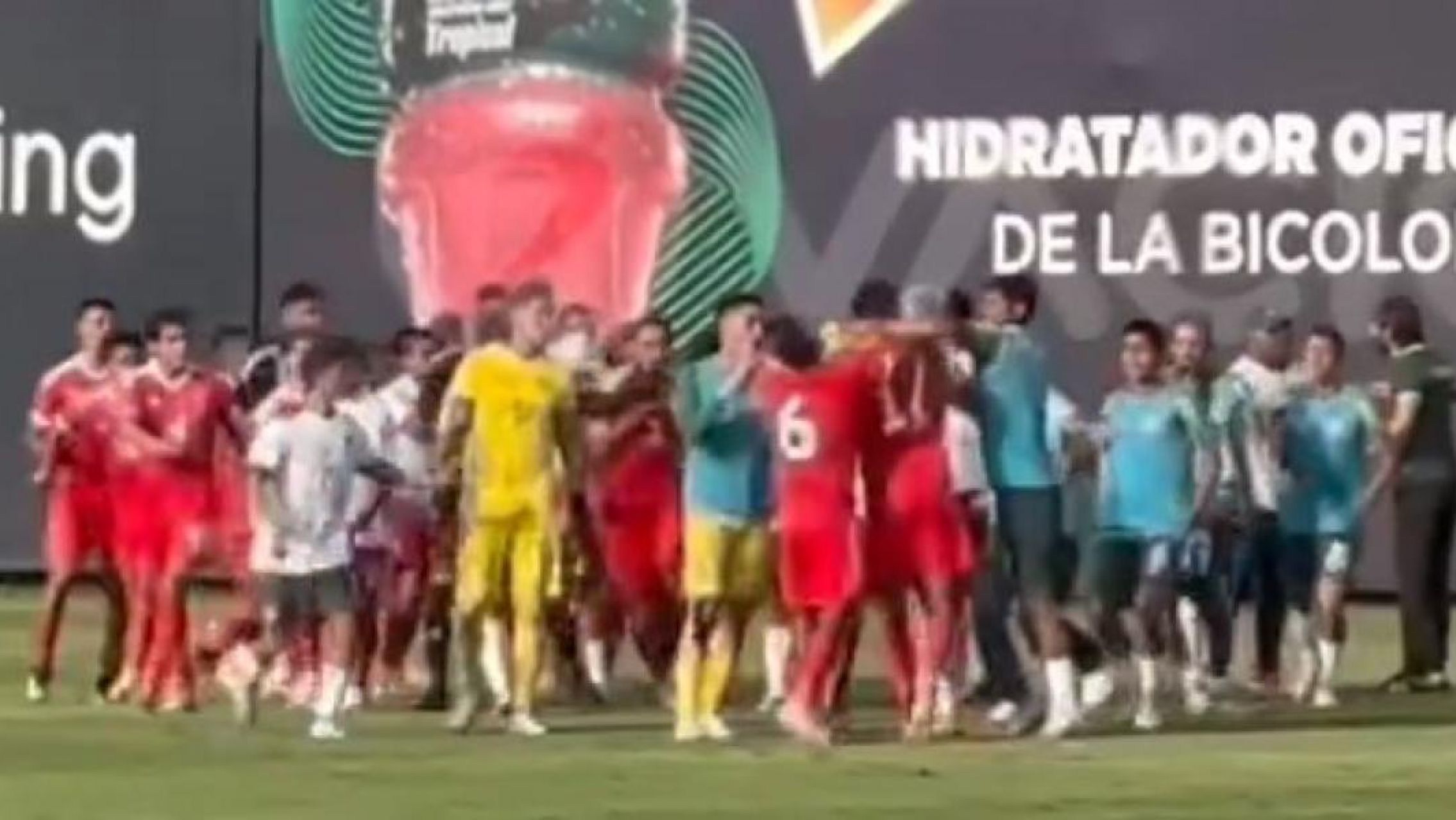 Perú se retiró de un partido ante Bolivia por "hostilidad verbal"