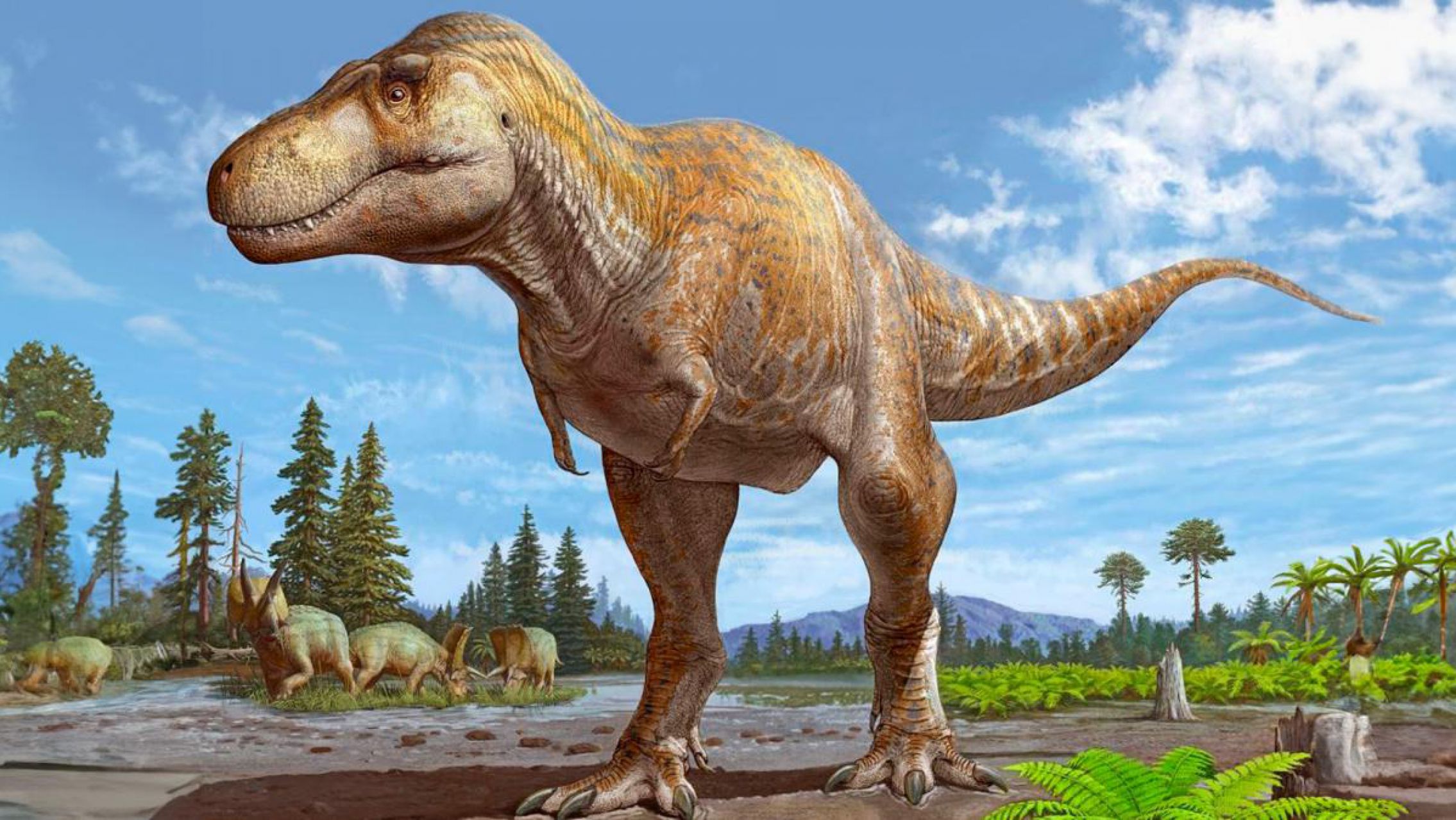Tyrannosaurus mcraeensis: el pariente más cercano del Tyrannosaurus rex