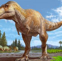 Tyrannosaurus mcraeensis: el pariente más cercano del Tyrannosaurus rex