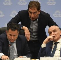 Milei obtuvo dictamen de mayoría gracias al apoyo "en disidencia" de los bloques aliados