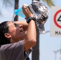 Buenos Aires y otras siete provincias bajo alerta roja por calor extremo