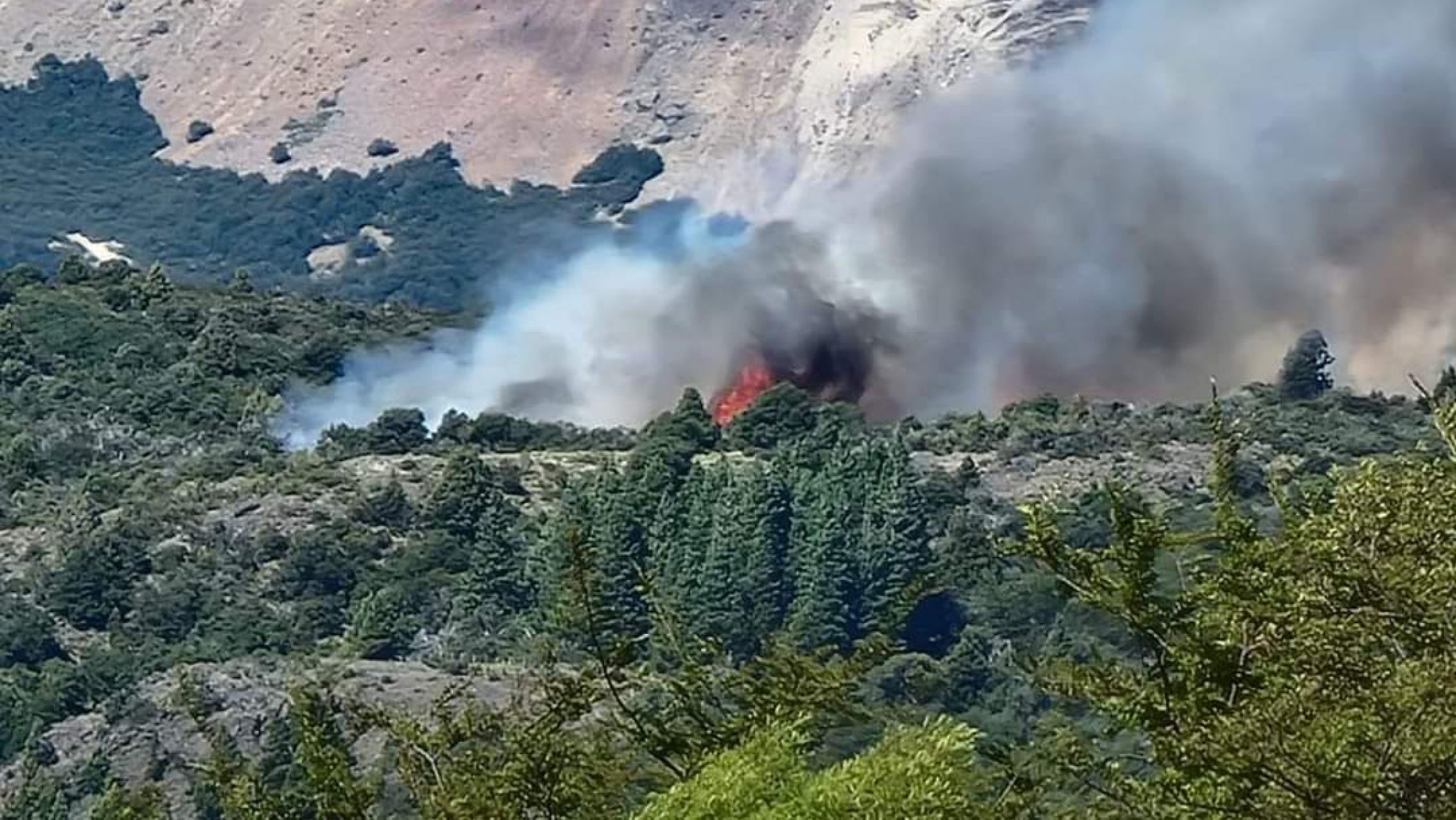 El fuego en el Parque Nacional Los Alerces ya consumió casi 1000 hectáreas