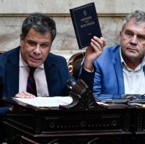 Manes anticipó que no votarán las facultades delegadas y enciende una alarma en el gobierno