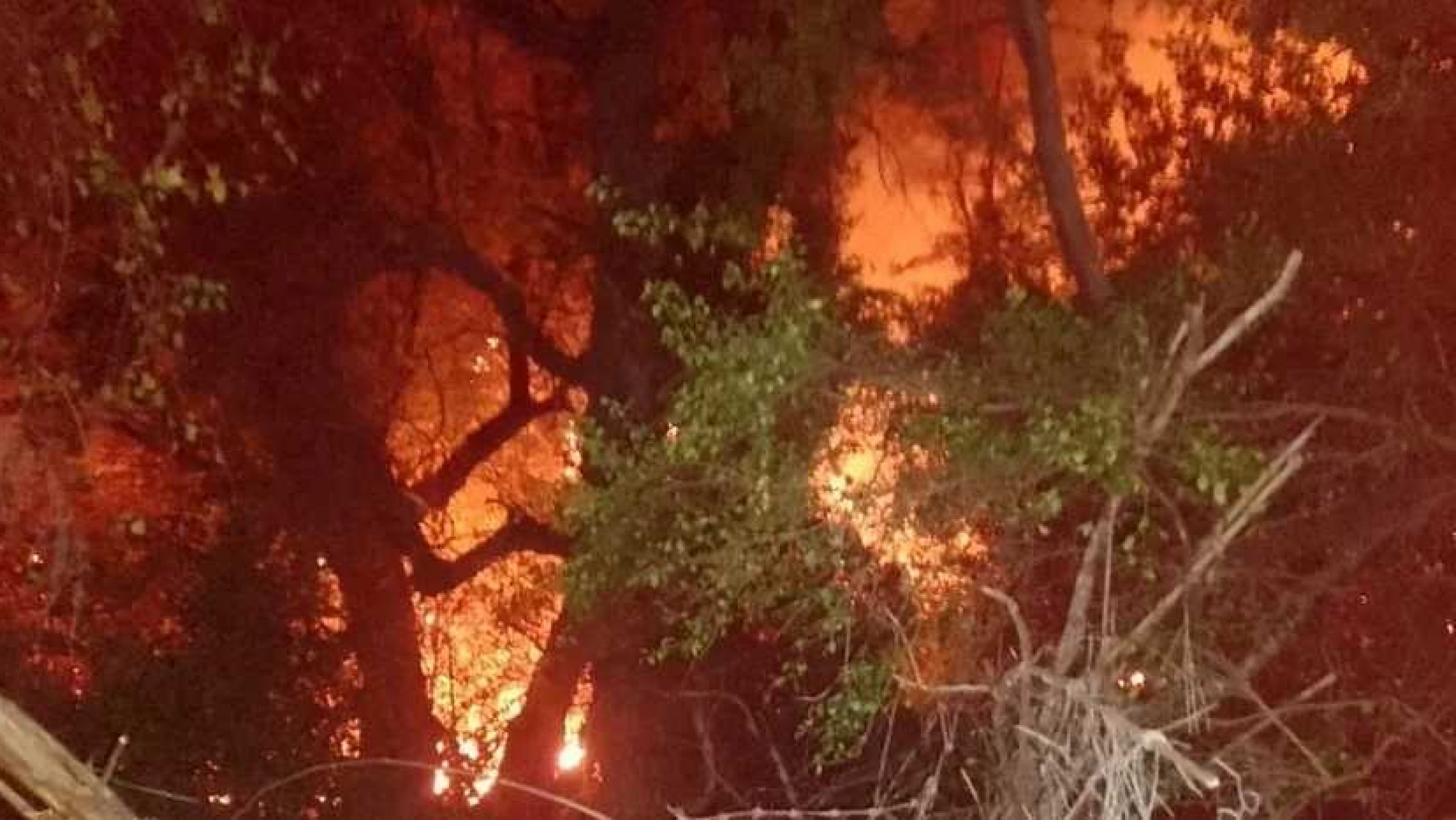 ¿Intencionalidad o negligencia?: buscan a los responsables del incendio en Bariloche