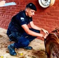 Detuvieron en Misiones a un hombre que desde un auto arrastraba con una soga a su perro