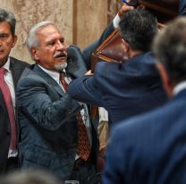 Tensión en el Senado un diputado salteño se cayó de su silla y generó burlas
