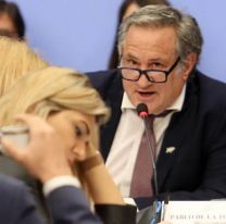 Desvincularon a Pablo de la Torre del Ministerio de Capital Humano