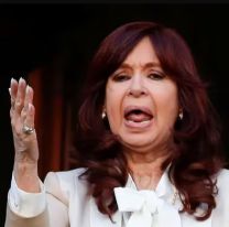 Apareció la reina polenta: volvió a criticar a Javier Milei