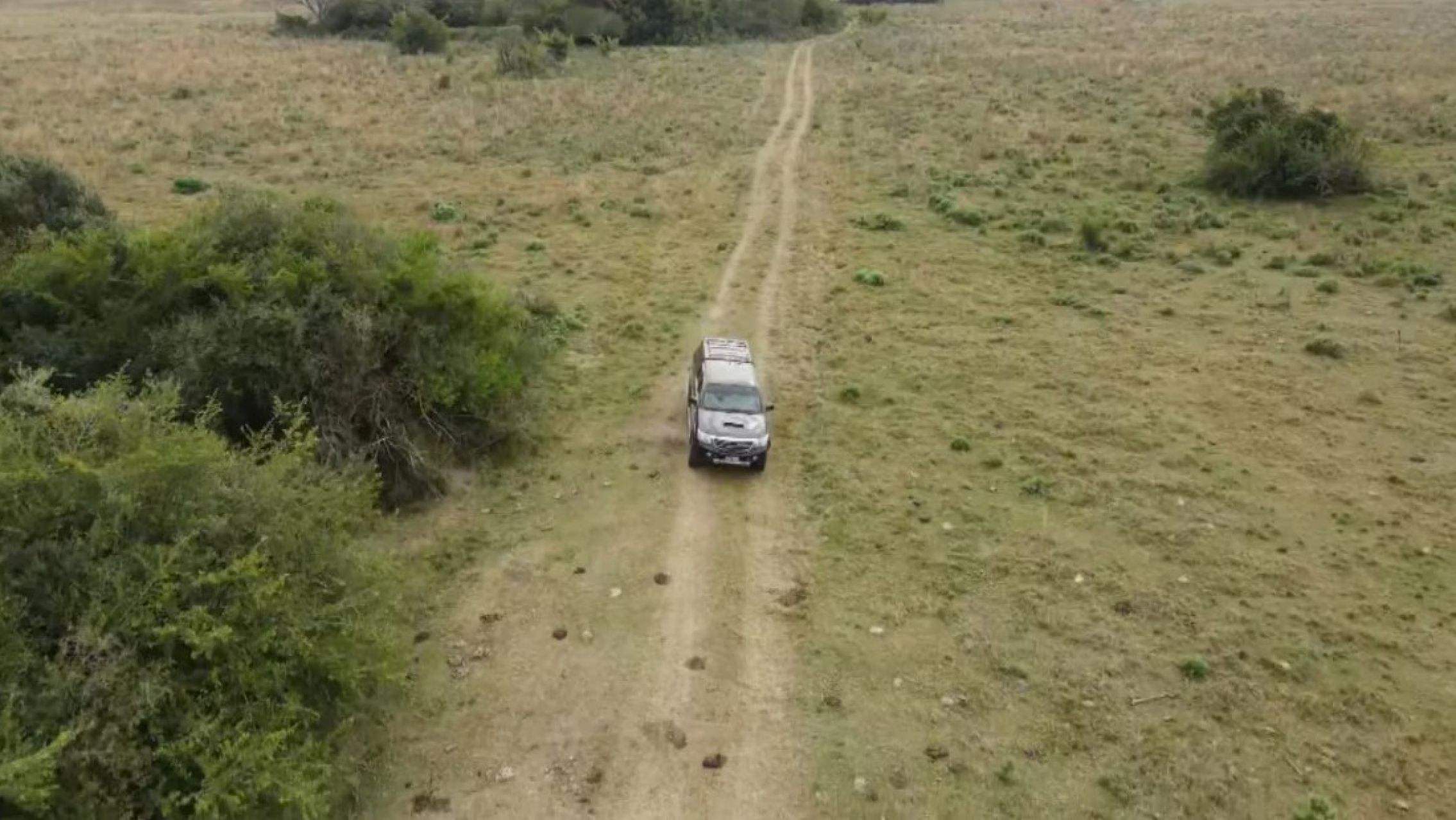 La prima de Loan participa de los operativos en el campo de la abuela