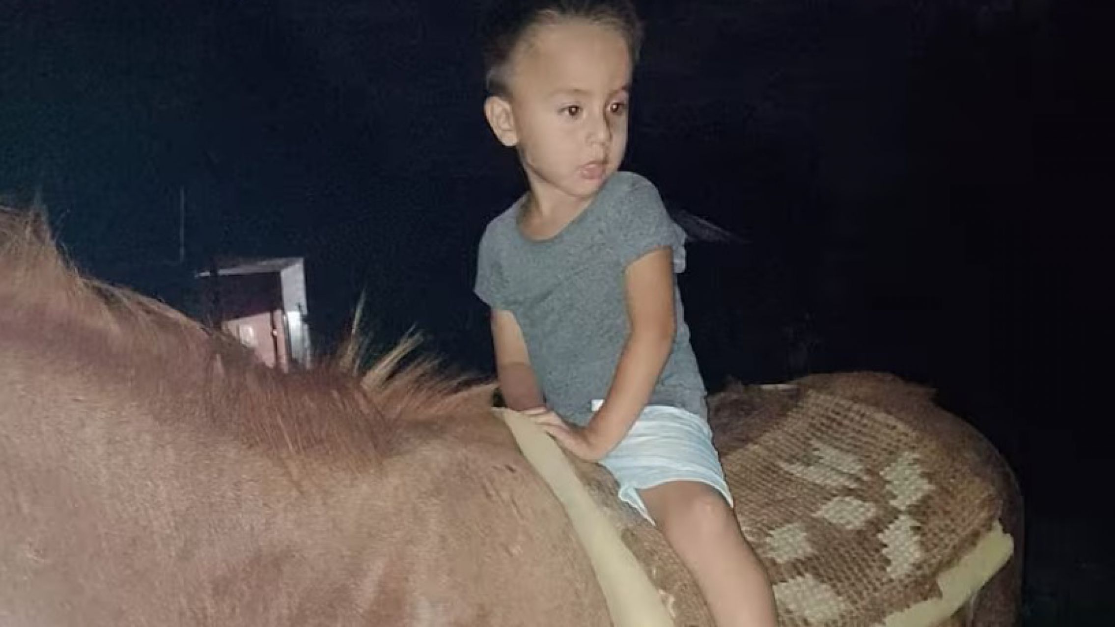 Los peritos lograron reconstruir el ADN de Loan: el avance de la investigación