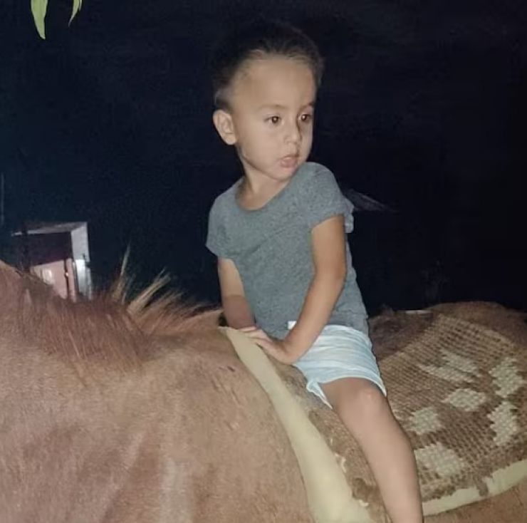 Los peritos lograron reconstruir el ADN de Loan: el avance de la investigación