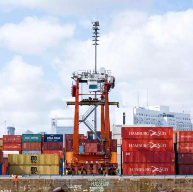 El Gobierno simplificó la importación de insumos claves para el país