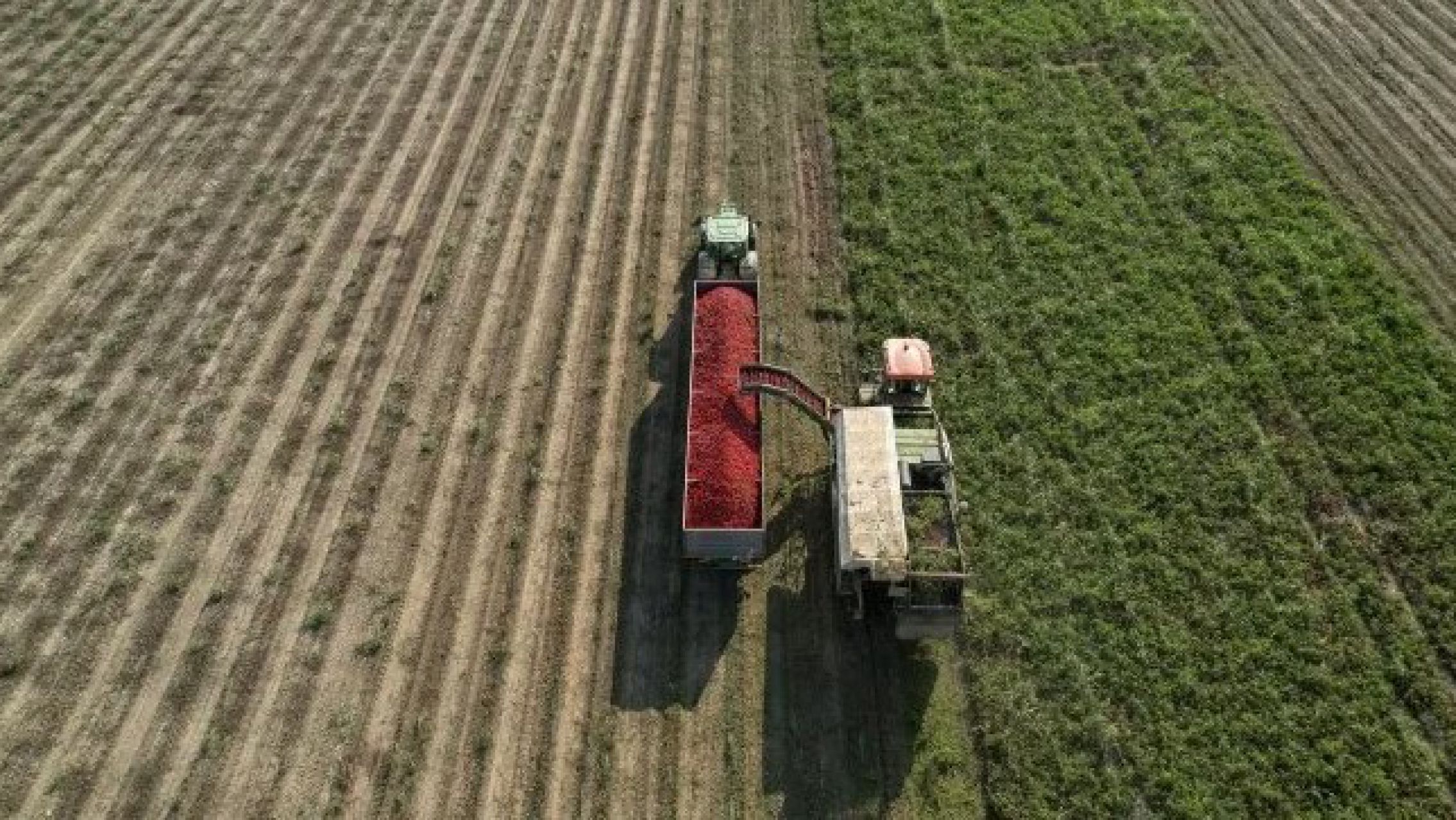 El Gobierno Nacional anunció que bajará las retenciones al campo