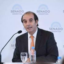 Tras ser ilegalmente rechazado, García Mansilla renunció a su cargo en la Corte