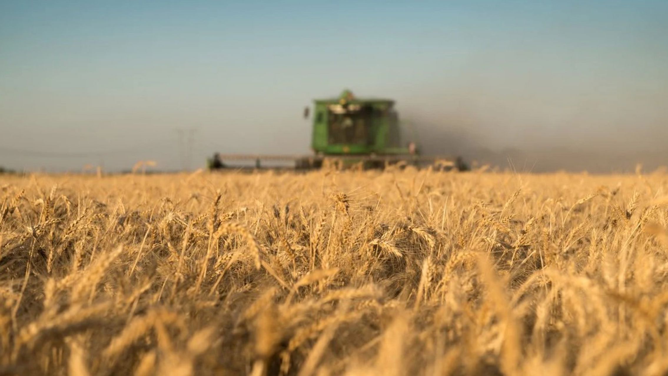 El Gobierno extiende la baja de retenciones para trigo y cebada hasta 2026