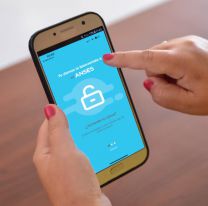 AUH y Tarjeta Alimentar ANSES: cómo saber si cobro en junio de 2025