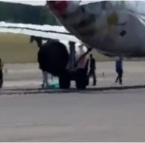 Murió un hombre tras ser succionado por el motor de un avión: los terribles detalles