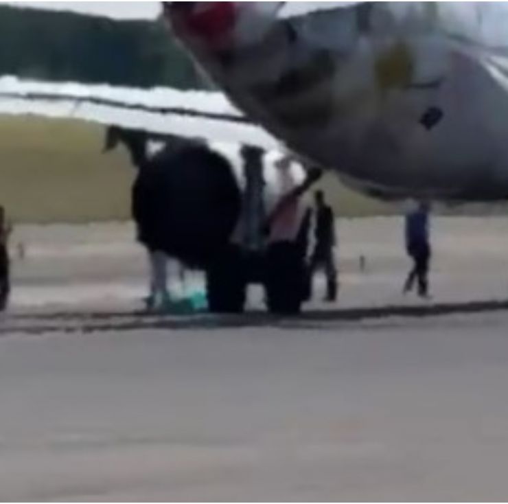 Murió un hombre tras ser succionado por el motor de un avión: los terribles detalles