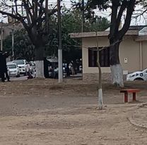 Gritos y desesperación: encontraron sin vida a un hombre en plena plaza