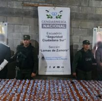 Golpe al narcomenudeo: incautaron drogas listas para vender