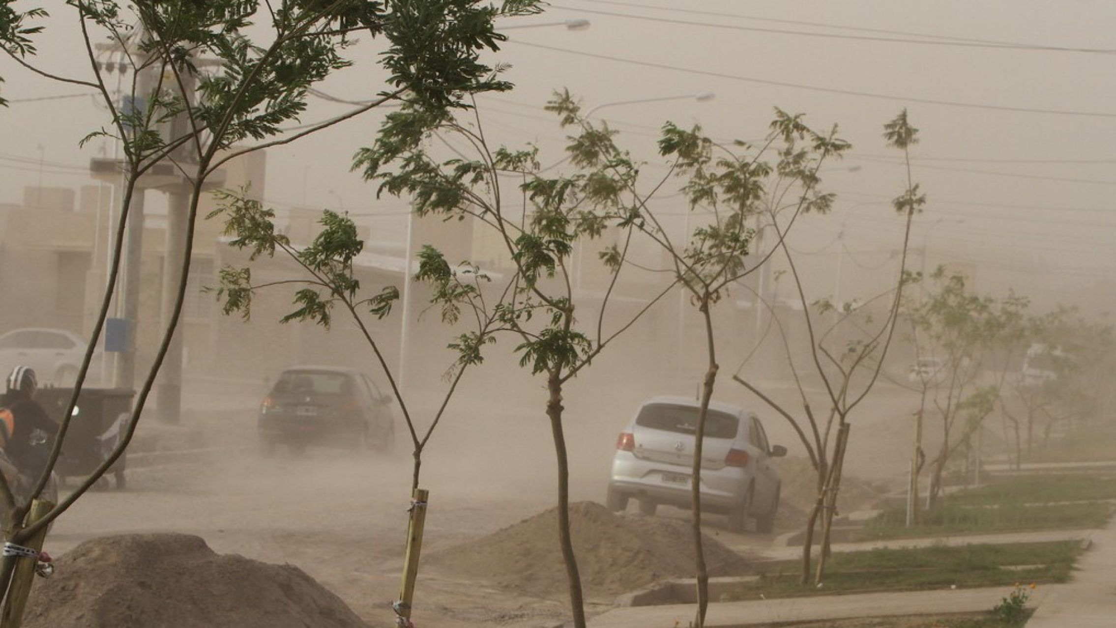 Tragedia en Mendoza: seis muertos por el viento Zonda, incendios y un accidente fatal