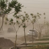 Tragedia en Mendoza: seis muertos por el viento Zonda, incendios y un accidente fatal