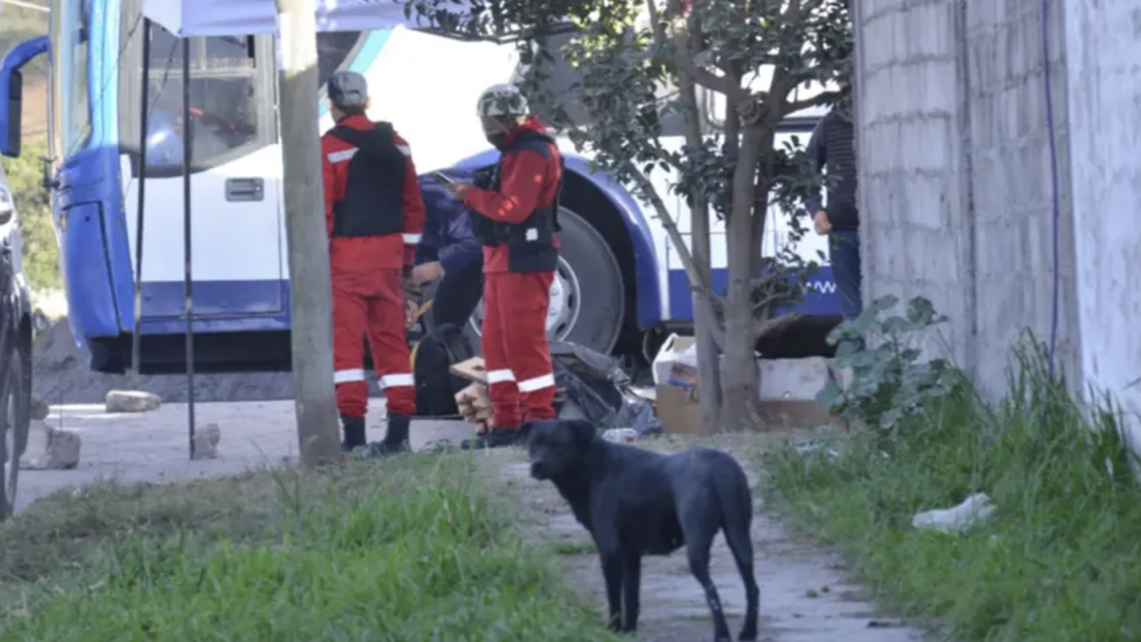 Hallaron nuevos restos óseos en la "casa del horror": quieren identificar más víctimas