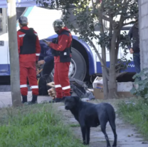 Hallaron nuevos restos óseos en la "casa del horror": quieren identificar más víctimas