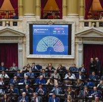 Se confirmó el veto de Milei al aumento deficitario a las jubilaciones en el Congreso