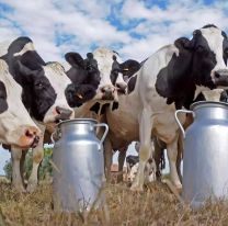 Argentina lideró el crecimiento mundial en la producción lechera en el primer semestre