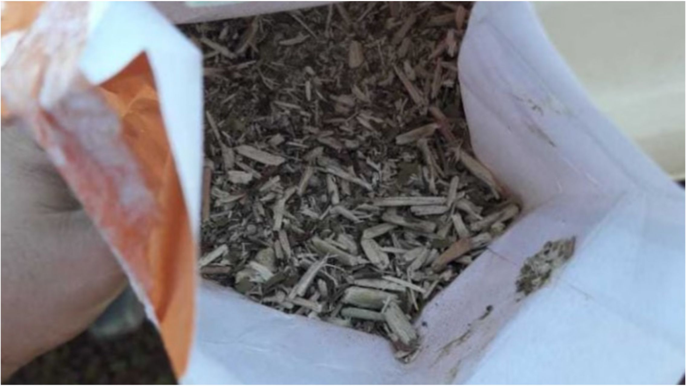 Secuestraron 33 mil kilos de yerba mate y 150 mil kilos de palitos: qué pasó