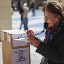 Cómo consultar el padrón electoral de las elecciones del 26 de octubre