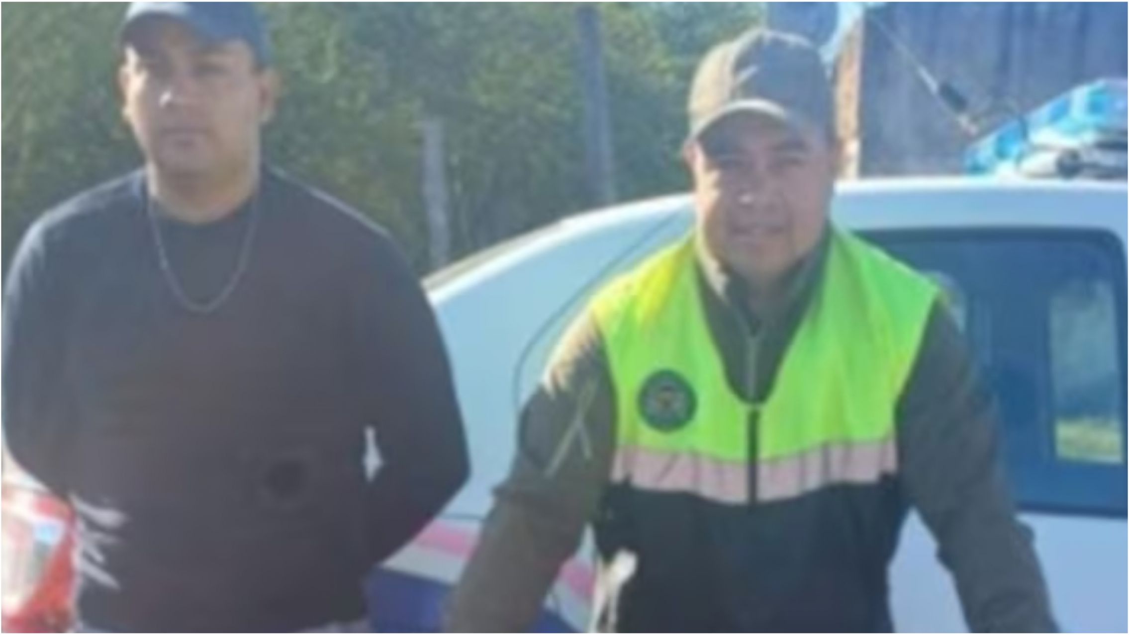 Encontraron a un exótico animal: estaba "desorientado" y atacaba perros