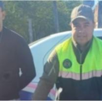 Encontraron a un exótico animal: estaba "desorientado" y atacaba perros