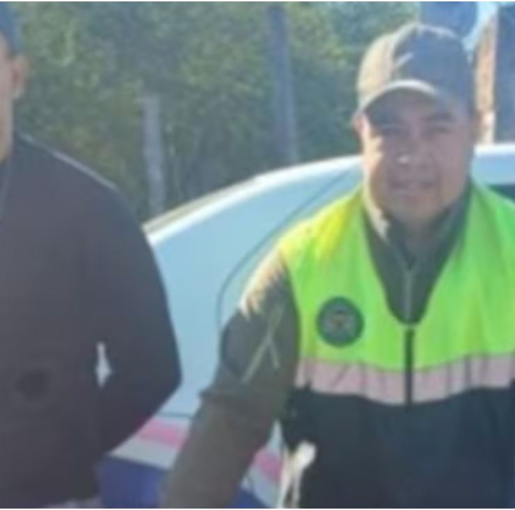 Encontraron a un exótico animal: estaba "desorientado" y atacaba perros